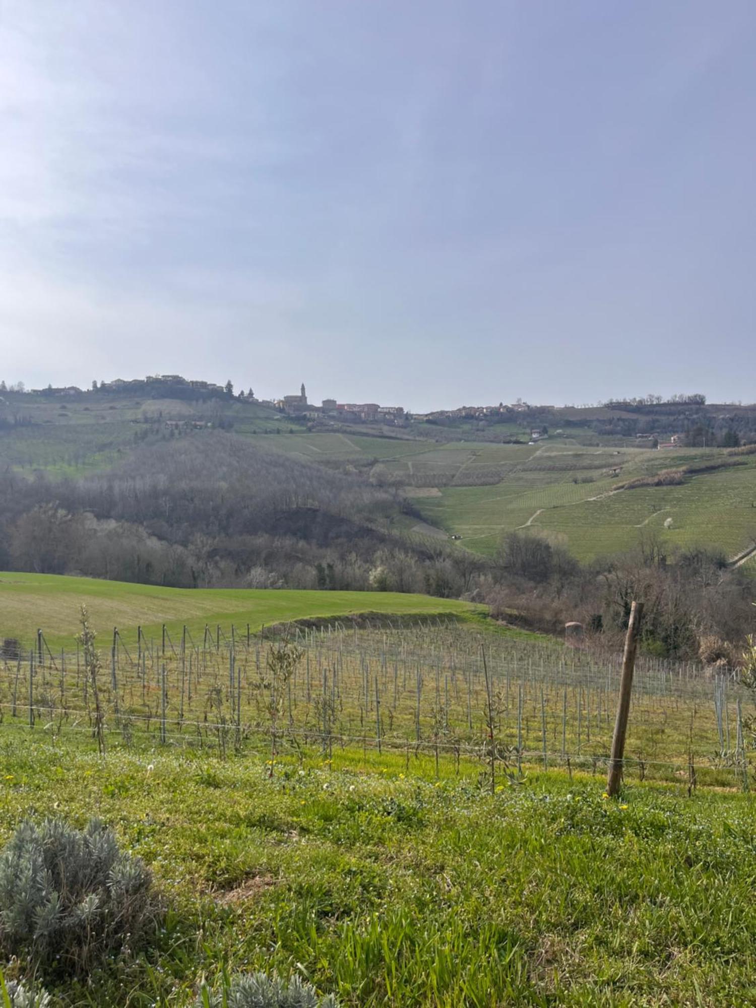 Le Cornici - Cascina Di Charme Hotell Diano dʼAlba Exteriör bild
